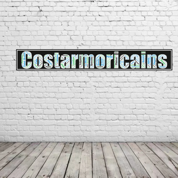 Affiche du département des Côtes d'Armor- Costarmoricains - v1 – Image 3
