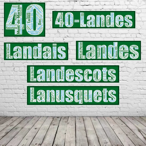 Affiche du département des Landes +40 - v1 – Image 3