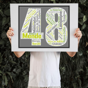 Affiche département Lozère - 48