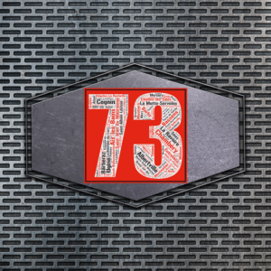 Affiche département Savoie - 73