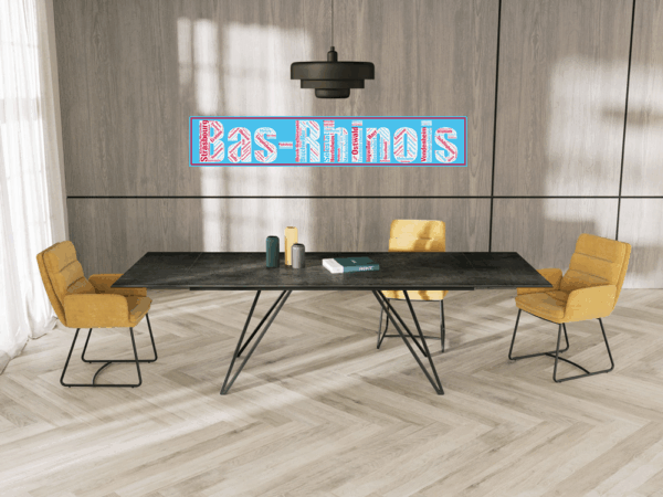 Affiche département Bas-Rhinois - v2