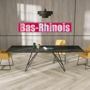 Affiche département Bas-Rhinois - v1