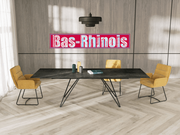 Affiche département Bas-Rhinois - v1