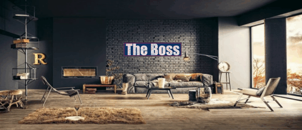 Affiche Bruce Springsteen - The Boss- v2