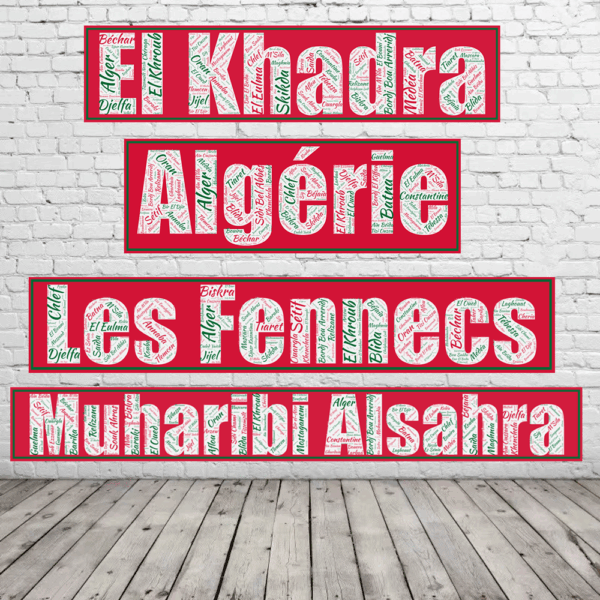 Affiche Algérie - Les Fennecs - v3