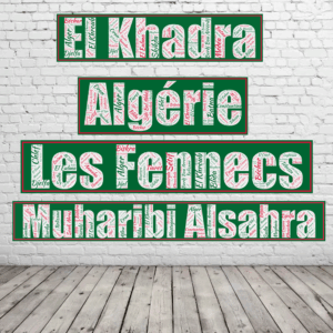 Affiche Algérie - Les Fennecs - v2