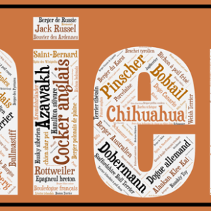 Affiche Les Chiens - v1