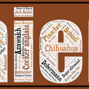 Affiche Les Chiens - v2