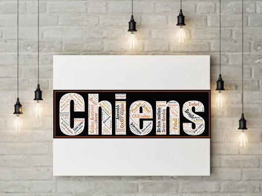 Affiche Les Chiens - v3