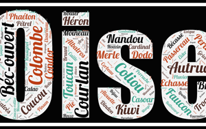 Affiche Les Oiseaux - v2