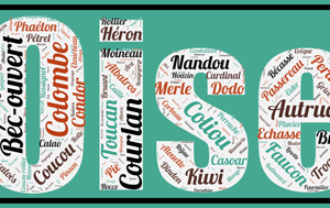 Affiche Les Oiseaux - v1