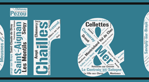 Affiche Département du Loir-et-Cher +41 - v1