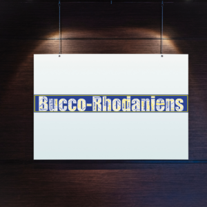 Affiche département Bouches du Rhône - Bucco-Rhodaniens