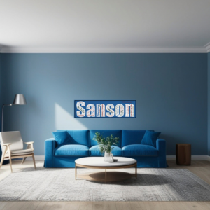Affiche Véronique Sanson